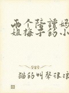 两个陪读妈妈赵姐梅子的小说