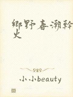 乡野春潮干柴烈火封面