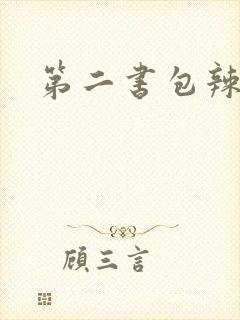 《第二书包辣文》小说封面