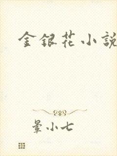 金银花小说乐可