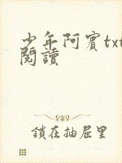 少年阿宾txt阅读