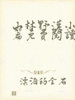 山林野汉小说全篇免费阅读