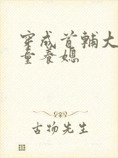 穿成首辅大人的童养媳