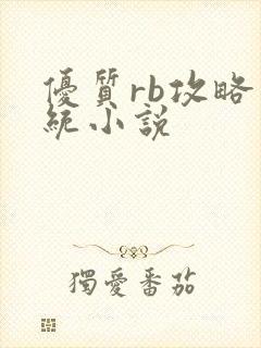 优质rb攻略系统小说