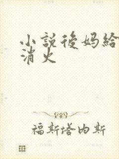 小说后妈给我消消火