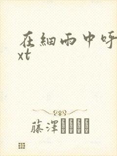 在细雨中呼喊txt