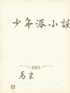 少年派小说
