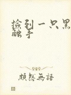 捡到一只黑心小触手