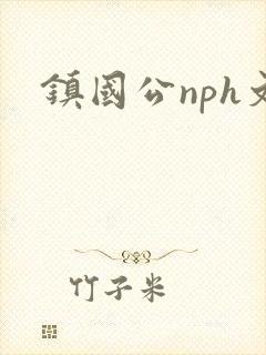 镇国公nph文