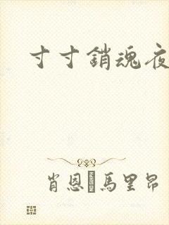 寸寸销魂夜春光