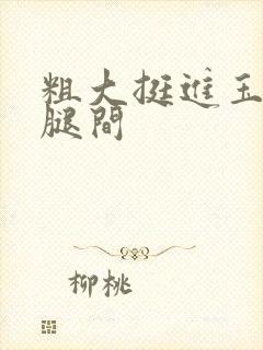 粗大挺进玉芬双腿间