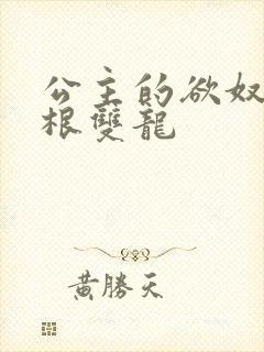 公主的欲奴h四根双龙