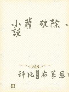 小萝 破除 小说