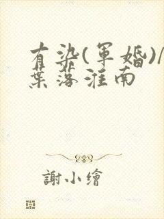 有染(军婚)/叶落淮南