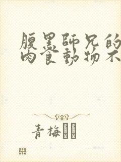 腹黑师兄的日常肉食动物不食草