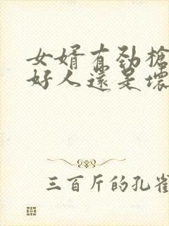 女婿有劲枪枪是好人还是坏人