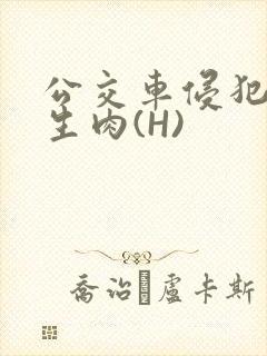 公交车侵犯小男生肉(H)