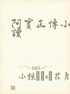 阿宾正传小说在读封面