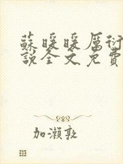 苏暖暖厉衍琛小说全文免费阅读