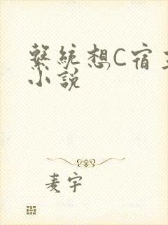 系统想C宿主的小说