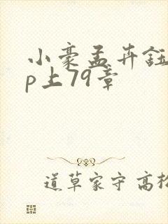 小豪孟卉钰慧三p上79章封面