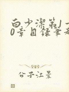 白少洁第1一40章目录笔趣阁