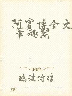 阿宾传全文阅读 笔趣阁