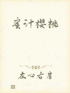 《蜜汁樱桃》小说封面