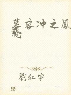 慕容冲之凤凰于飞