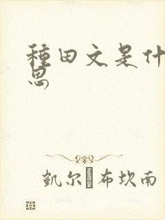 种田文是什么意思