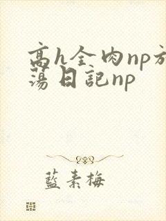 高h全肉np放荡日记np