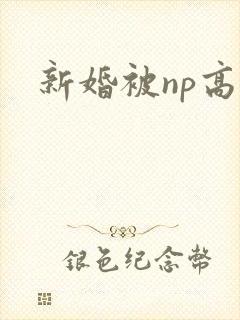 新婚被np高h