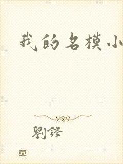 我的名模小娇妻
