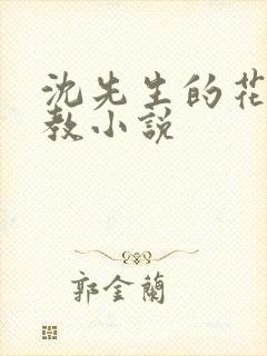 沈先生的花式调教小说