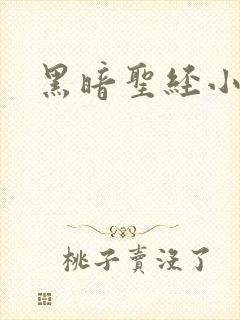 黑暗圣经小说