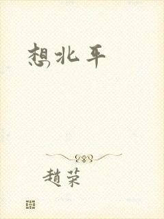 《想北平》小说封面