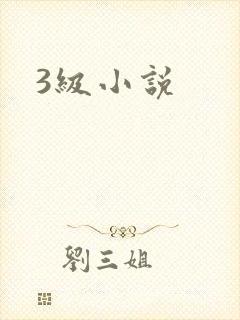 3级小说