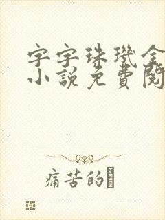 字字珠玑金银花小说免费阅读