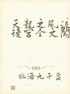 天龙之风流猎艳后宫全文阅读