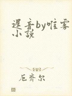 迟音by唯雾的小说