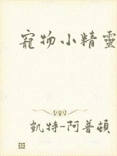 宠物小精灵漫画