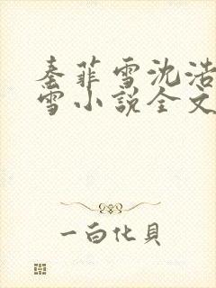 秦菲雪沈浩秦菲雪小说全文免费阅读求书