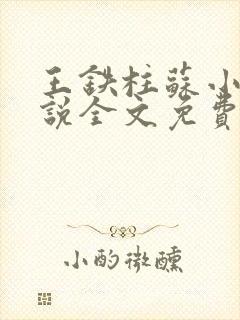 王铁柱苏小汐小说全文免费阅读最新章节