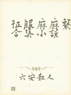 征服麻麻系列大合集小说