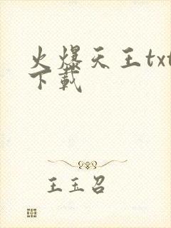 火爆天王txt下载