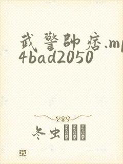 武警帅痞.mp4bad2050