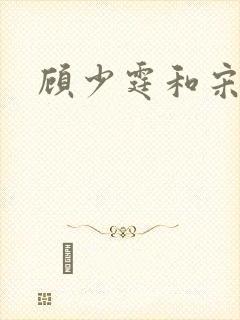 顾少霆和宋斯曼