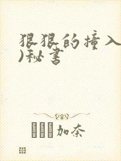 狠狠的撞入(h)秘书