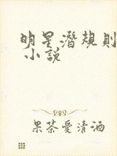 明星潜规则之皇 小说