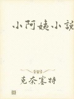 小阿姨小说